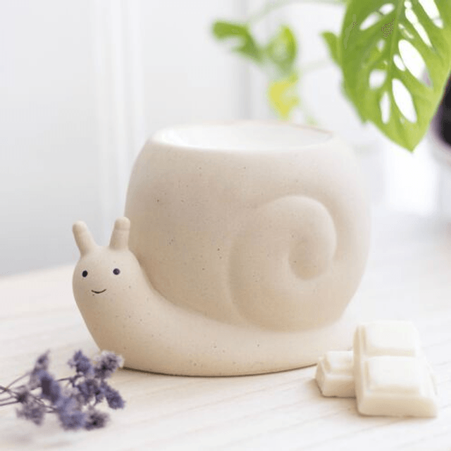 Brule parfum escargot
